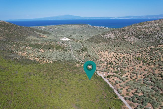Parcel 7.240 sqm for sale, Kavala Prefecture, Thasos