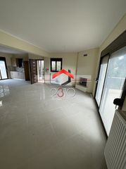 Μεζονέτα 225 τ.μ. για ενοικίαση