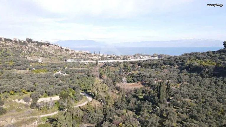 Αγροτεμάχια 1.988 τ.μ. για πώληση, Αχαΐα, Αιγείρα