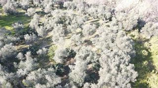 Αγροτεμάχια 1.988 τ.μ. για πώληση, Αχαΐα, Αιγείρα-thumb-1