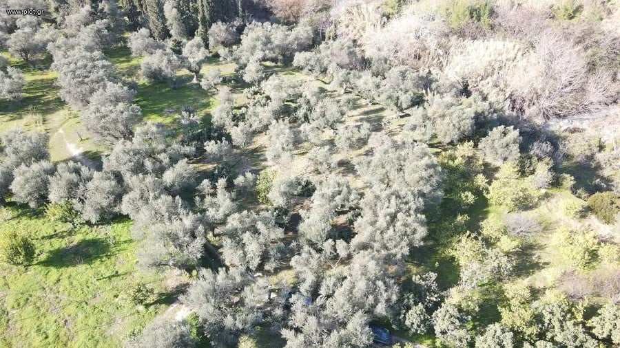 Αγροτεμάχια 1.988 τ.μ. προς πώληση, Κέντρο Αιγείρας
