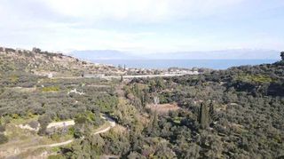 Αγροτεμάχια 1.988 τ.μ. για πώληση, Αχαΐα, Αιγείρα-thumb-5