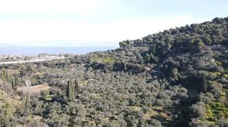 Αγροτεμάχια 1.988 τ.μ. για πώληση, Αχαΐα, Αιγείρα-thumb-6