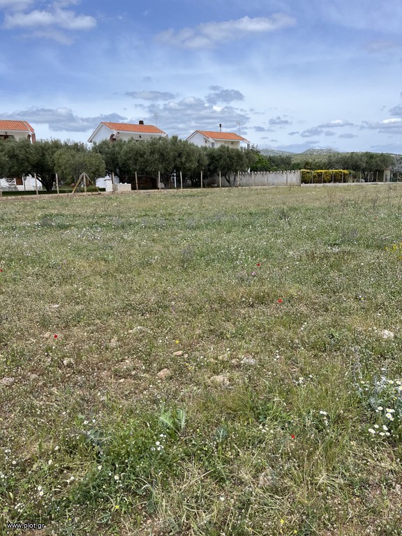 Αγροτεμάχια 4.000 τ.μ. πρός πώληση, Εβρος, Αλεξανδρούπολη