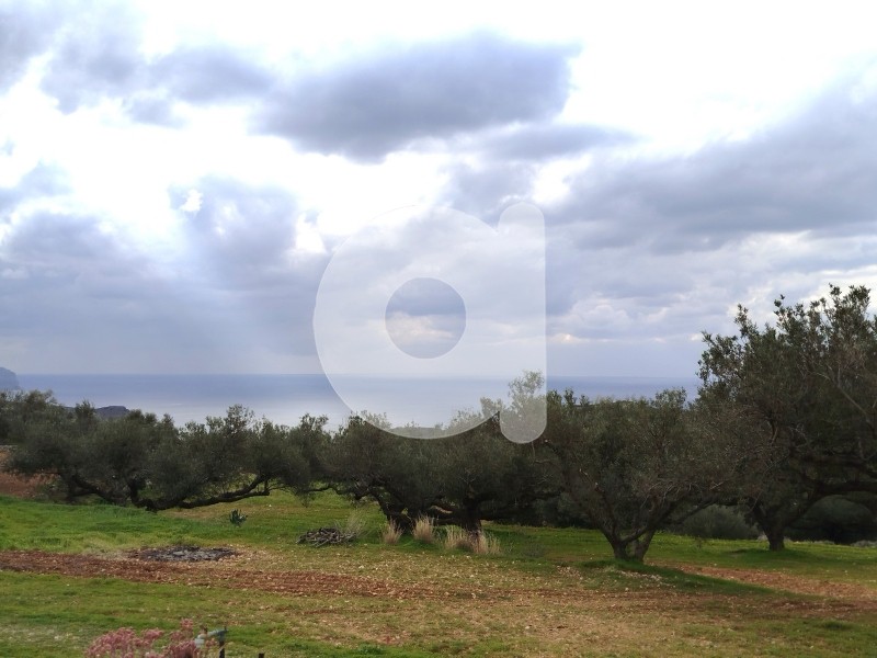 Μονοκατοικία 48 τ.μ. πρός πώληση, Λακωνία, Κύθηρα
