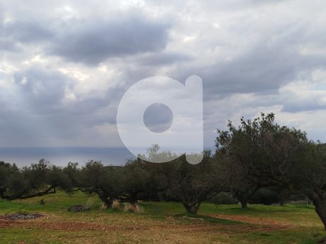 Detached home 48sqm for sale-Kythira » Moni Mirtidion