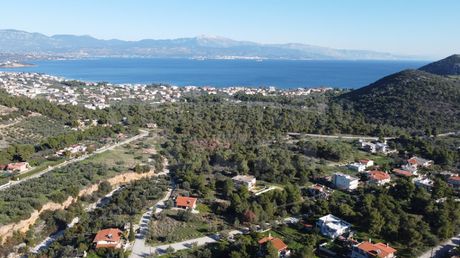 Οικόπεδο 501τ.μ. για πώληση-Σαρωνικός