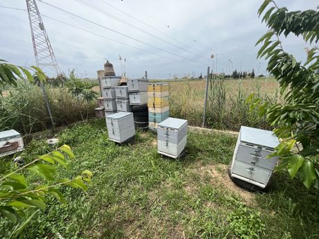 Αγροτεμάχια 4.500τ.μ. για πώληση-Τραϊανούπολη » Λουτρά τραϊανούπολης