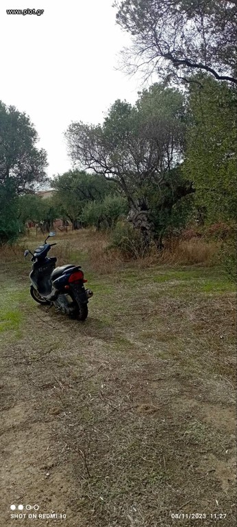 Αγροτεμάχια 2.000 τ.μ. πρός πώληση, Εβρος, Αλεξανδρούπολη