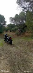 Αγροτεμάχια 2.000 τ.μ. για πώληση