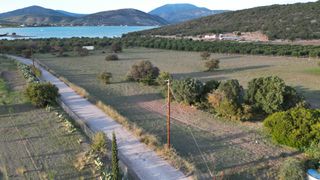 Αγροτεμάχια 9.800 τ.μ. για πώληση, Αργολίδα, Ερμιόνη-thumb-5