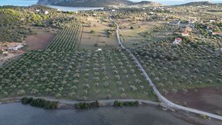Αγροτεμάχια 9.800 τ.μ. για πώληση, Αργολίδα, Ερμιόνη-thumb-8