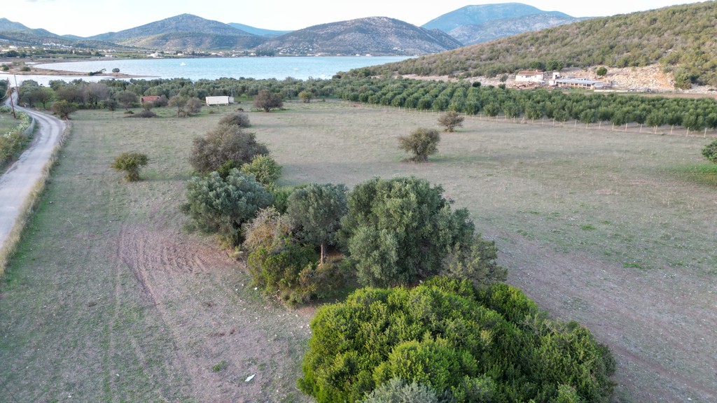 Αγροτεμάχια 9.800 τ.μ. προς πώληση, Ερμιόνη