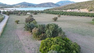 Αγροτεμάχια 9.800 τ.μ. για πώληση, Αργολίδα, Ερμιόνη-thumb-2