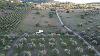 Αγροτεμάχια 9.800 τ.μ. για πώληση, Αργολίδα, Ερμιόνη-thumb-13