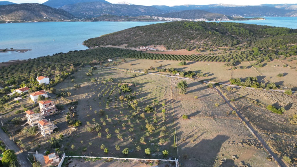 Αγροτεμάχια 9.800 τ.μ. προς πώληση, Ερμιόνη