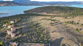 Αγροτεμάχια 9.800 τ.μ. για πώληση, Αργολίδα, Ερμιόνη-thumb-1