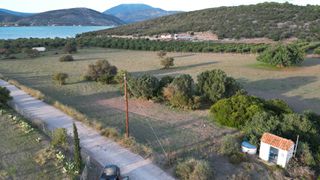 Αγροτεμάχια 9.800 τ.μ. για πώληση, Αργολίδα, Ερμιόνη-thumb-3