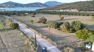 Αγροτεμάχια 9.800 τ.μ. για πώληση, Αργολίδα, Ερμιόνη-thumb-4