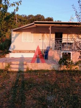 Μονοκατοικία 45τ.μ. για πώληση-Μελίβοια » Κάτω πολυδένδρι