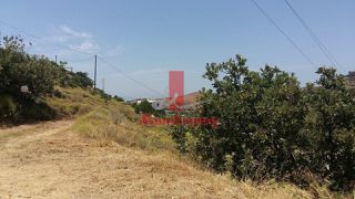Αγροτεμάχια 1.420 τ.μ. για πώληση, Κυκλάδες, Κέα-thumb-24