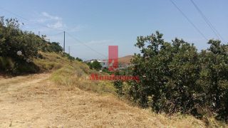 Αγροτεμάχια 1.420 τ.μ. για πώληση, Κυκλάδες, Κέα-thumb-5
