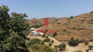 Αγροτεμάχια 1.420 τ.μ. για πώληση, Κυκλάδες, Κέα-thumb-16
