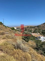 Αγροτεμάχια 1.420 τ.μ. για πώληση