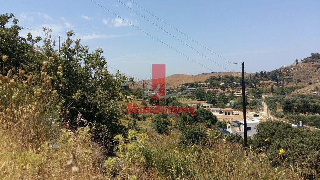 Αγροτεμάχια 1.420 τ.μ. προς πώληση, Φωτημάρι
