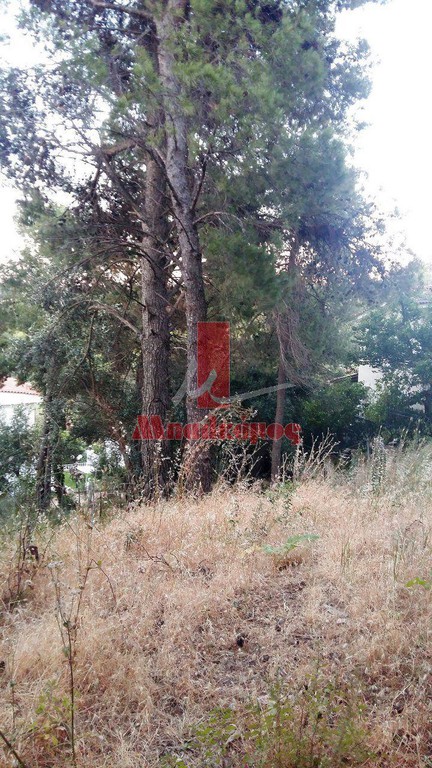 Οικόπεδο 1.012 τ.μ. προς πώληση, Άγιος Στέφανος