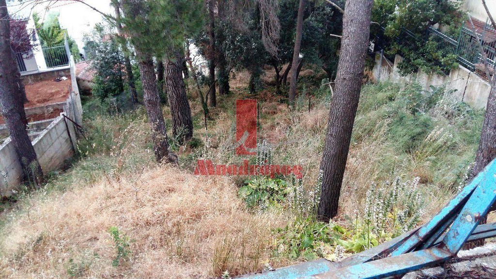 Οικόπεδο 1.012 τ.μ. προς πώληση, Άγιος Στέφανος