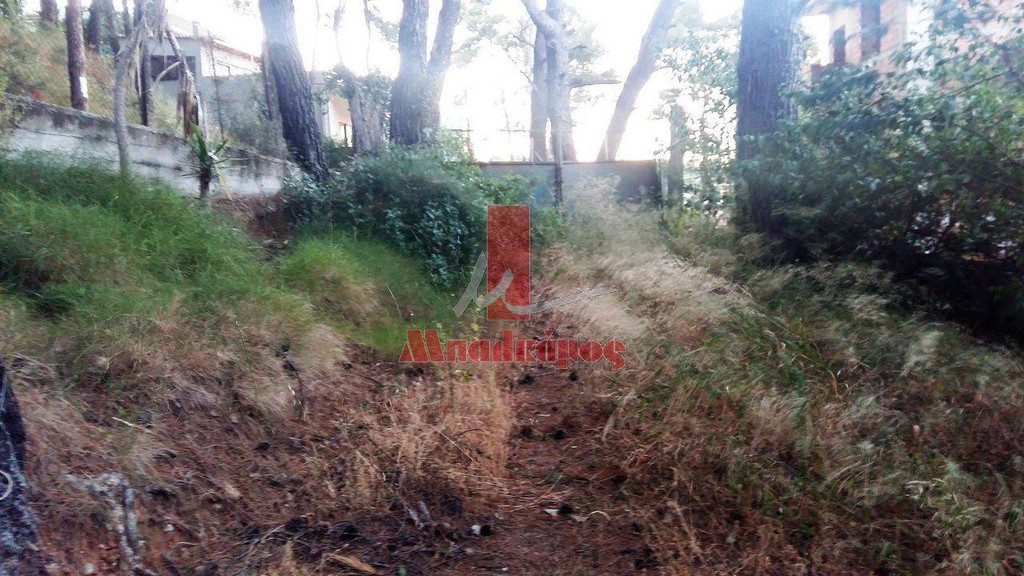 Οικόπεδο 1.012 τ.μ. προς πώληση, Άγιος Στέφανος