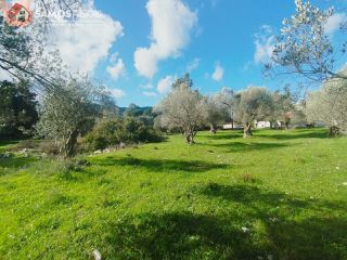 Οικόπεδο 3.726,90 τ.μ. για πώληση, Ν. Σάμου, Σάμος-thumb-5