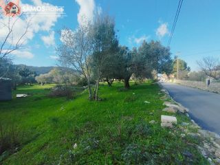 Οικόπεδο 3.726,90 τ.μ. για πώληση, Ν. Σάμου, Σάμος-thumb-12