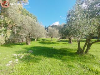 Οικόπεδο 3.726,90 τ.μ. για πώληση, Ν. Σάμου, Σάμος-thumb-16