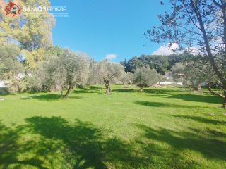 Οικόπεδο 3.726,90 τ.μ. για πώληση, Ν. Σάμου, Σάμος-thumb-18