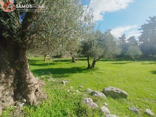 Οικόπεδο 3.726,90 τ.μ. για πώληση, Ν. Σάμου, Σάμος-thumb-20