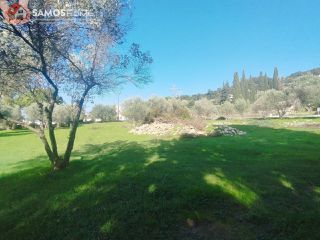 Οικόπεδο 3.726,90 τ.μ. για πώληση, Ν. Σάμου, Σάμος-thumb-22