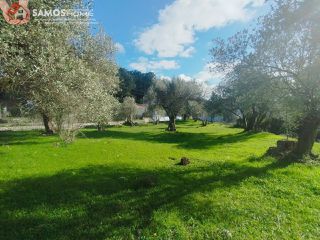 Οικόπεδο 3.726,90 τ.μ. για πώληση, Ν. Σάμου, Σάμος-thumb-23