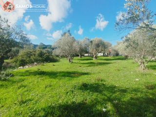Οικόπεδο 3.726,90 τ.μ. για πώληση, Ν. Σάμου, Σάμος-thumb-25