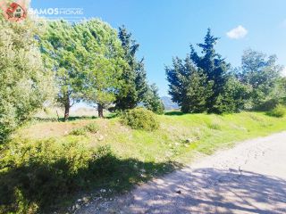 Οικόπεδο 6.209,22 τ.μ. για πώληση, Ν. Σάμου, Σάμος-thumb-6