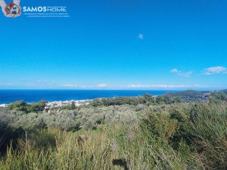 Οικόπεδο 6.209,22 τ.μ. για πώληση, Ν. Σάμου, Σάμος-thumb-8