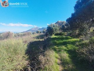 Οικόπεδο 6.209,22 τ.μ. για πώληση, Ν. Σάμου, Σάμος-thumb-11