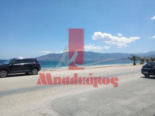 Οικόπεδο 2.020 τ.μ. προς πώληση, Παράλιο Άστρος
