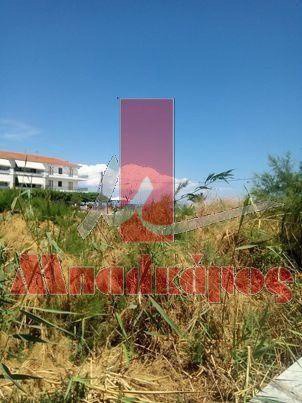 Οικόπεδο 2.020 τ.μ. προς πώληση, Παράλιο Άστρος