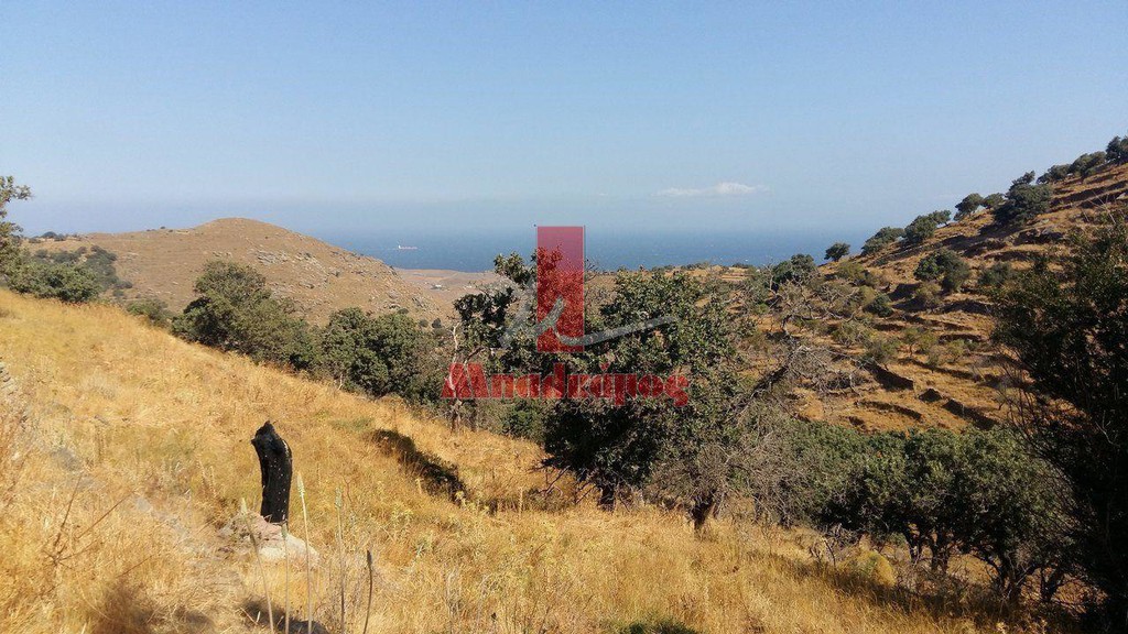 Αγροτεμάχια 5.389,43 τ.μ. προς πώληση, Καμπί Κέας