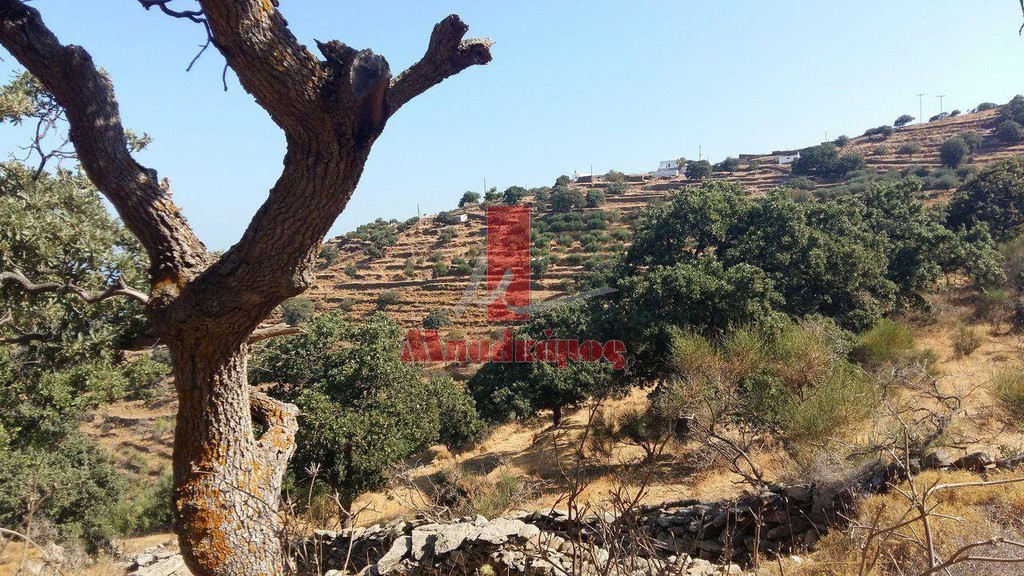 Αγροτεμάχια 5.389,43 τ.μ. προς πώληση, Καμπί Κέας