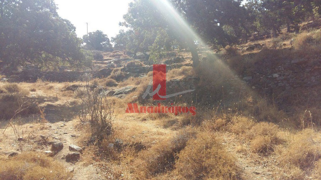Αγροτεμάχια 5.389,43 τ.μ. προς πώληση, Καμπί Κέας