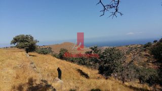 Αγροτεμάχια 5.389,43 τ.μ. για πώληση
