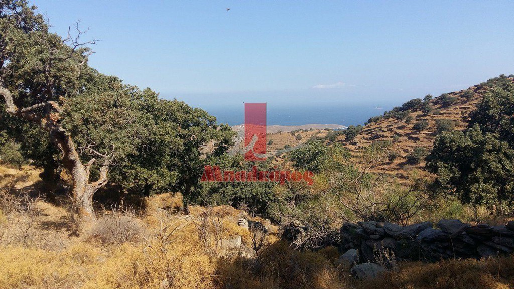 Αγροτεμάχια 5.389,43 τ.μ. προς πώληση, Καμπί Κέας